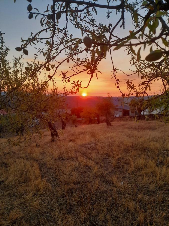 Villa Casinha Da Colina Alfândega da Fé Esterno foto